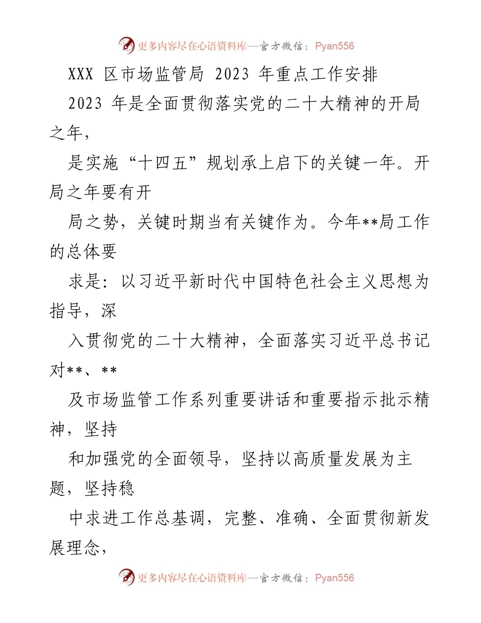[工作总结] 市场监管局 - 2023 年重点工作安排与实施方案_1.docx_第1页