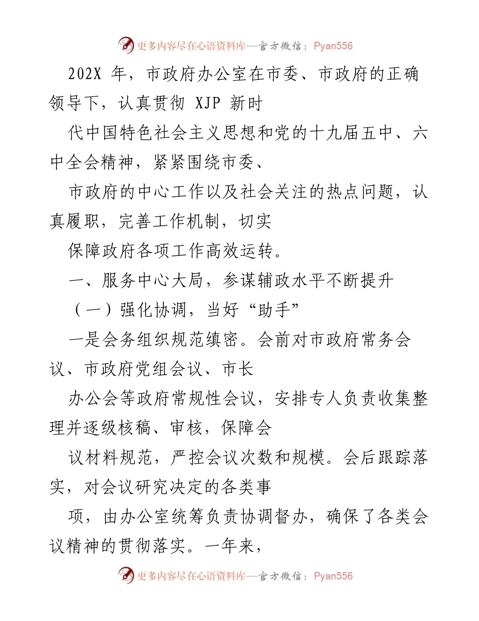 [工作总结] 市政府办公室 - 202X年市政府办公室工作总结与提升措施.docx_第1页