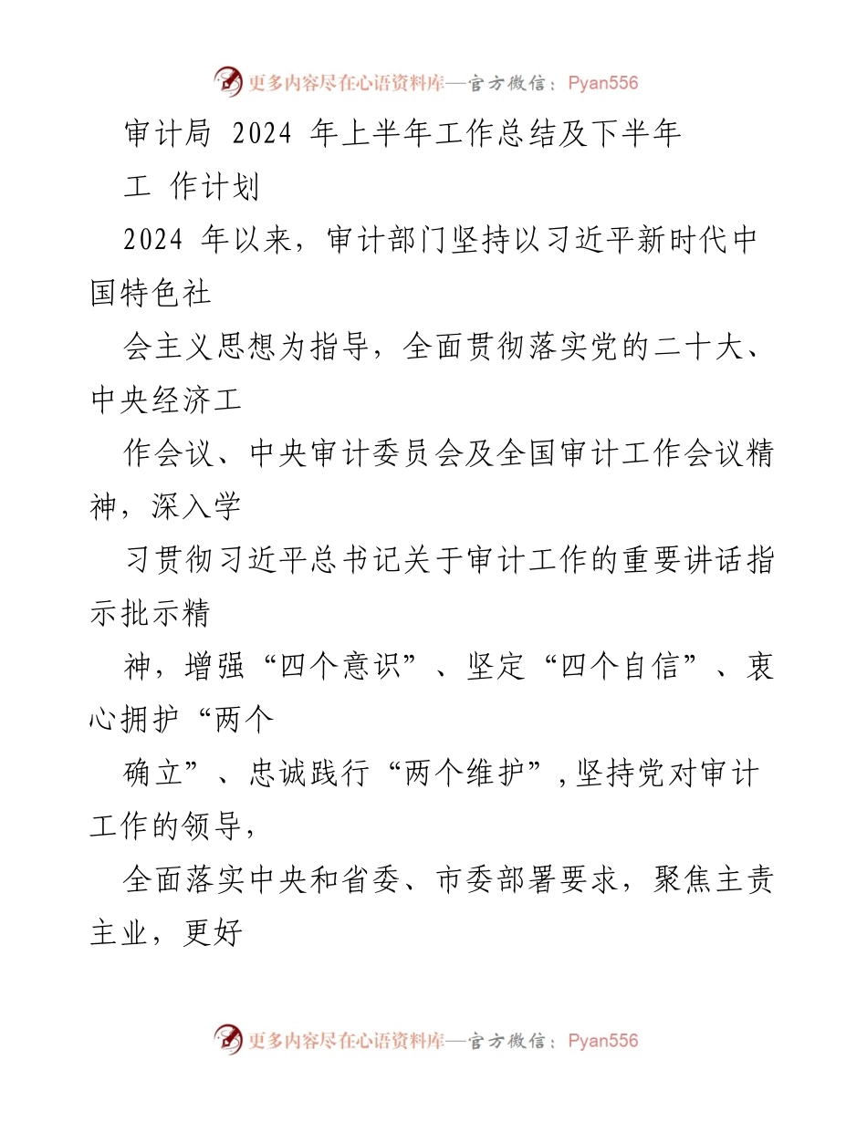 [工作总结] 审计局 - 2024年上半年工作总结及下半年工作计划.docx_第1页