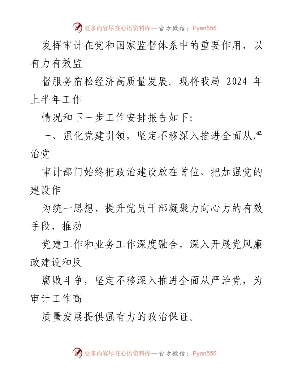 [工作总结] 审计局 - 2024年上半年工作总结及下半年工作计划.docx_第2页