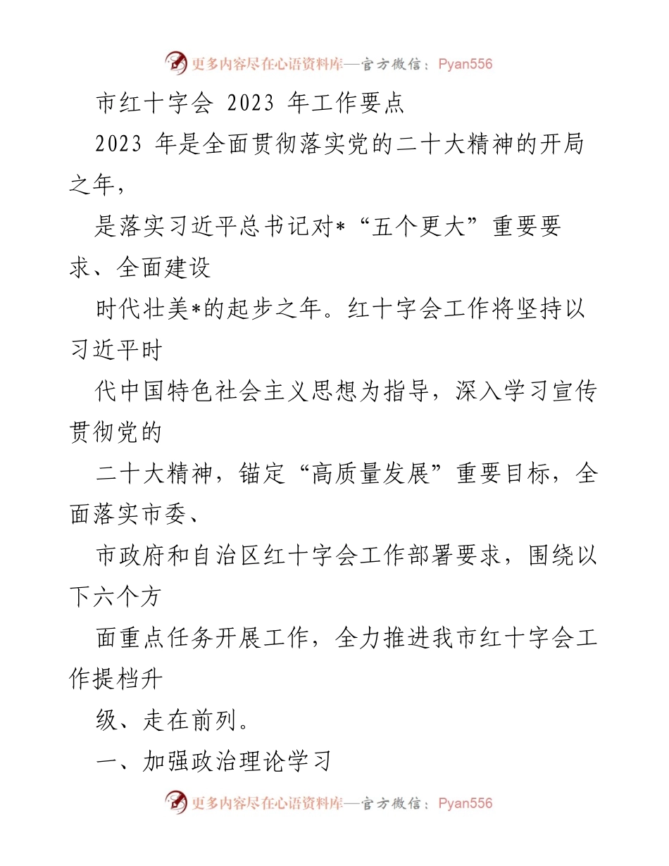 [工作总结] 市红十字会 - 2023年红十字会工作要点与重点任务.docx_第1页