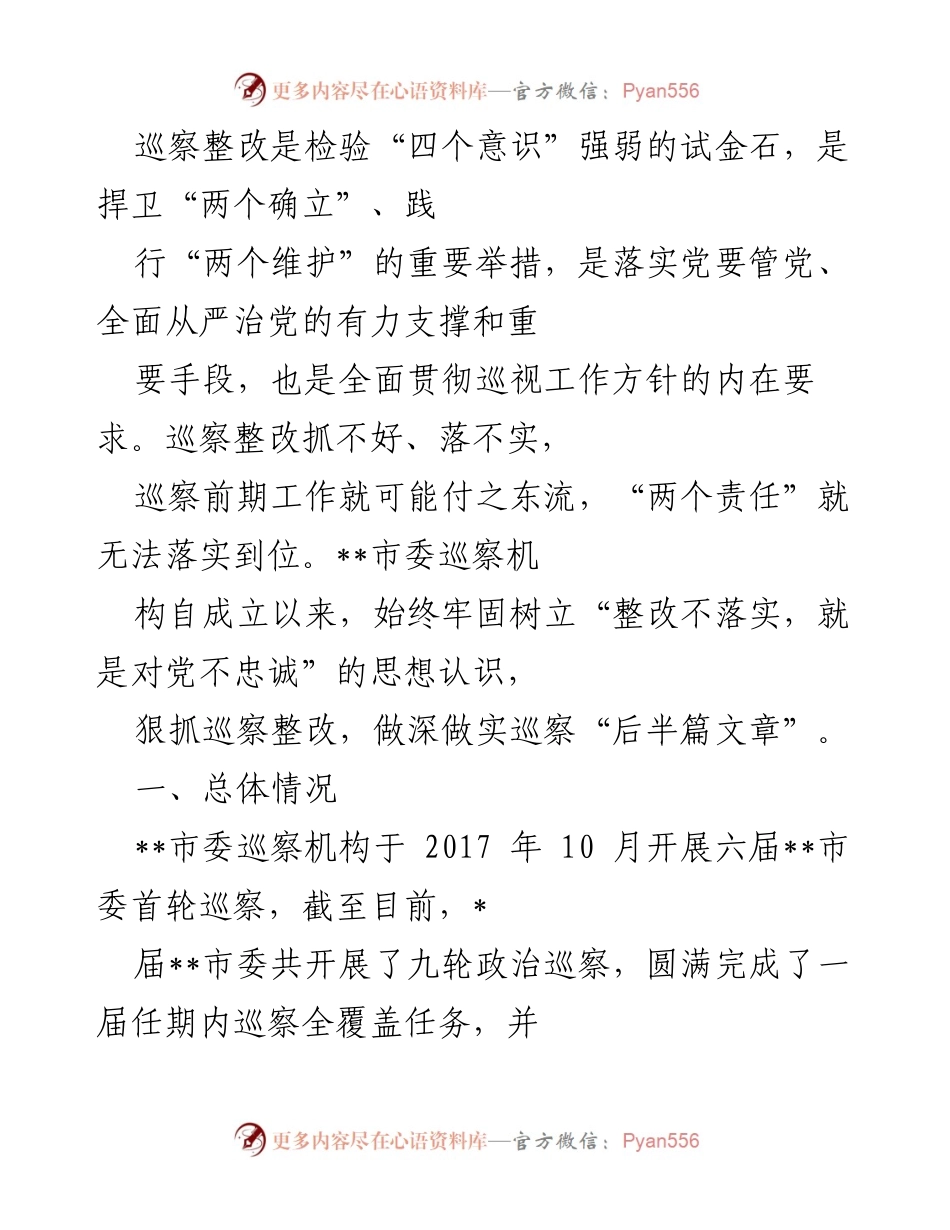 [工作总结] 巡察整改工作 - 巡察整改工作总结与问题分析.docx_第1页
