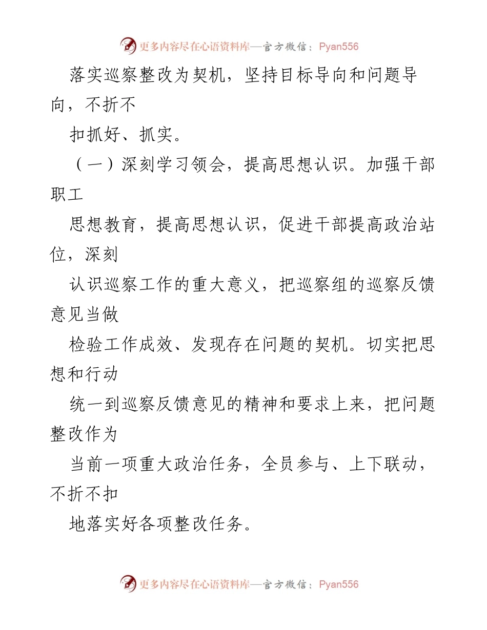 [工作总结] 巡察整改 - XXX 镇巡察整改进展情况报告.docx_第2页