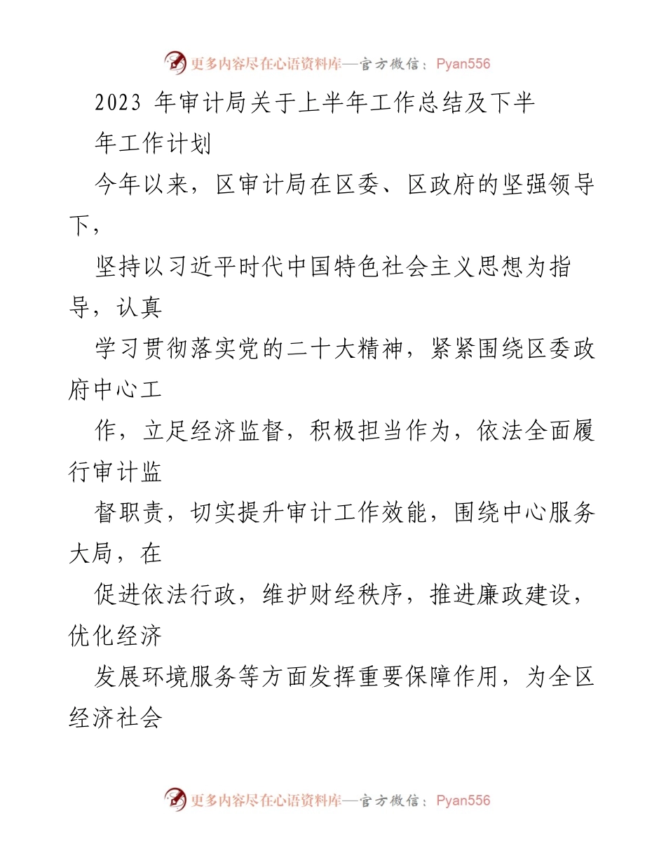 [工作总结] 审计局 - 2023年上半年工作总结及下半年工作计划_1.docx_第1页
