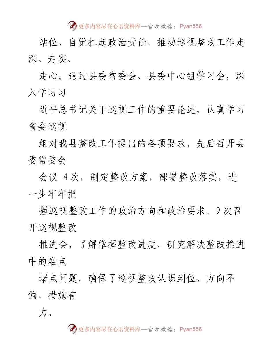[工作总结] 巡视整改工作 - 巡视整改工作汇报与落实情况分析.docx_第2页