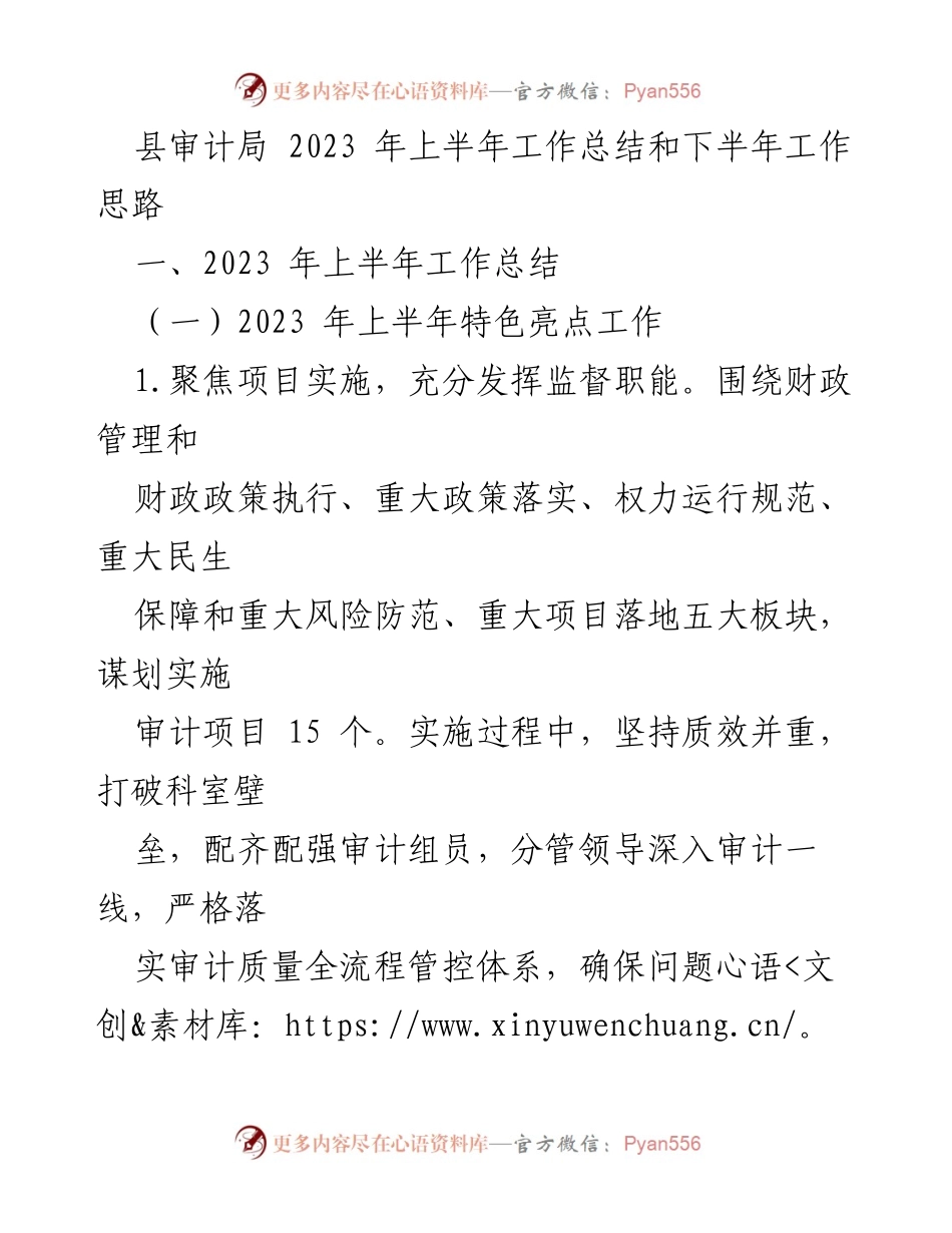 [工作总结] 审计局 - 2023年上半年工作总结与下半年工作思路.docx_第1页