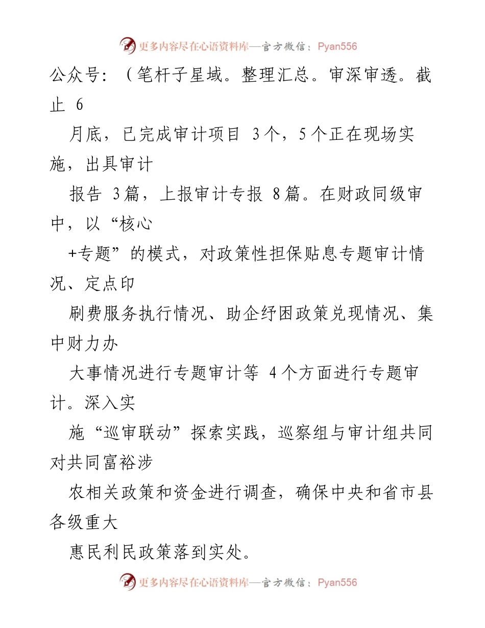 [工作总结] 审计局 - 2023年上半年工作总结与下半年工作思路.docx_第2页