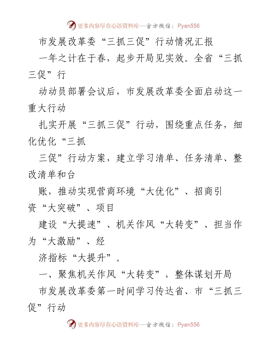 [工作总结] 市发展改革委 - “三抓三促”行动实施情况汇报.docx_第1页