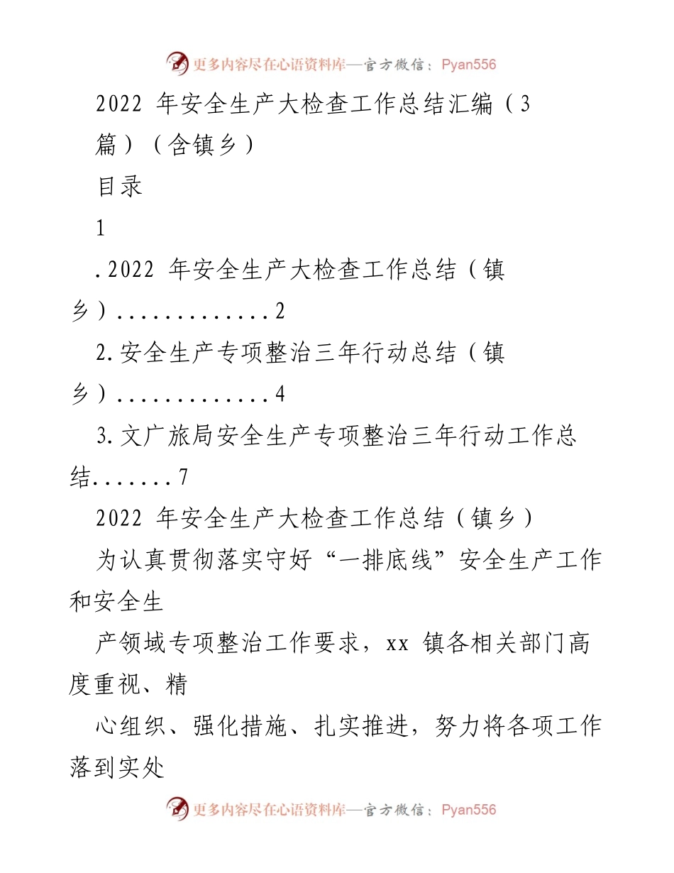 [工作总结] 安全生产大检查 - 2022年安全生产大检查工作总结及专项整治行动汇报.docx_第1页