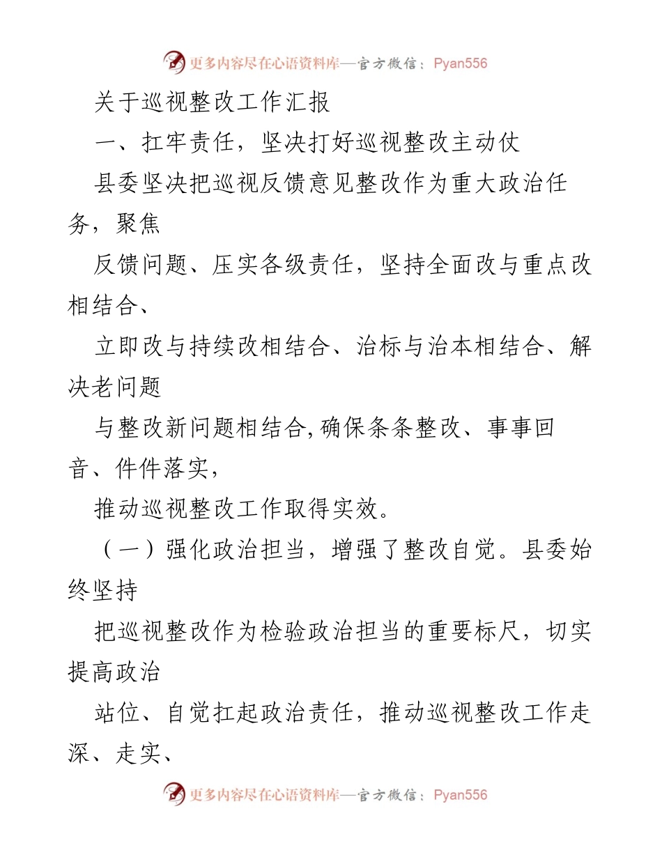 [工作总结] 巡视整改工作 - 坚决落实巡视整改责任，确保整改实效.docx_第1页