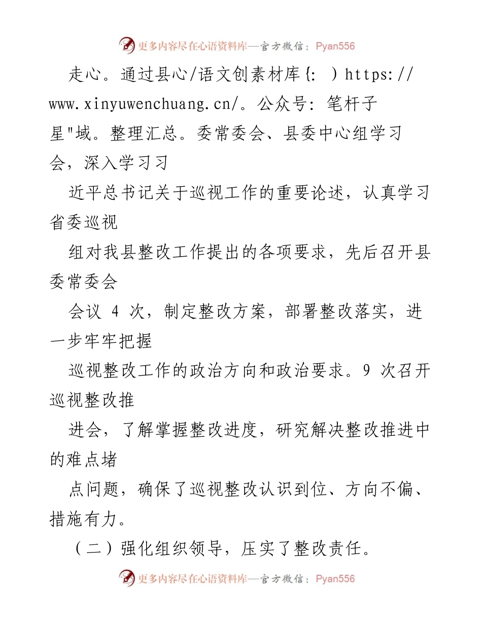 [工作总结] 巡视整改工作 - 坚决落实巡视整改责任，确保整改实效.docx_第2页