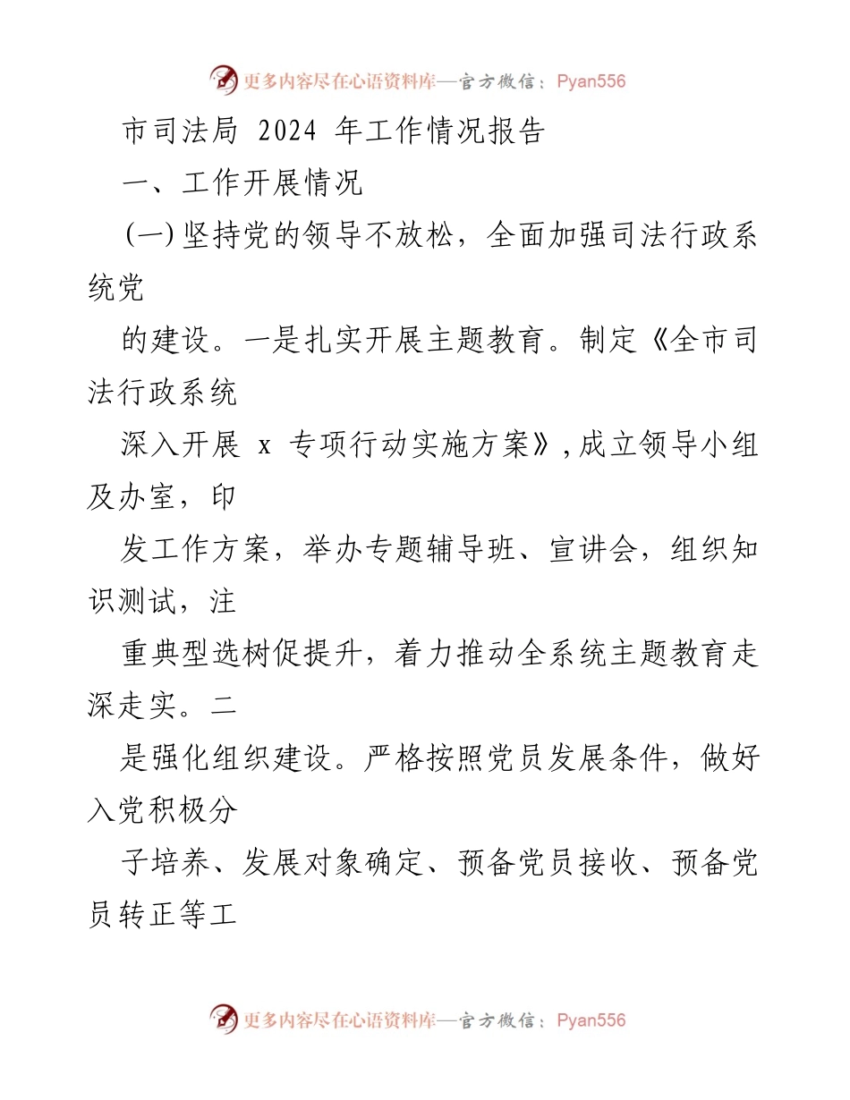 [工作总结] 市司法局 - 2024 年工作情况报告.docx_第1页