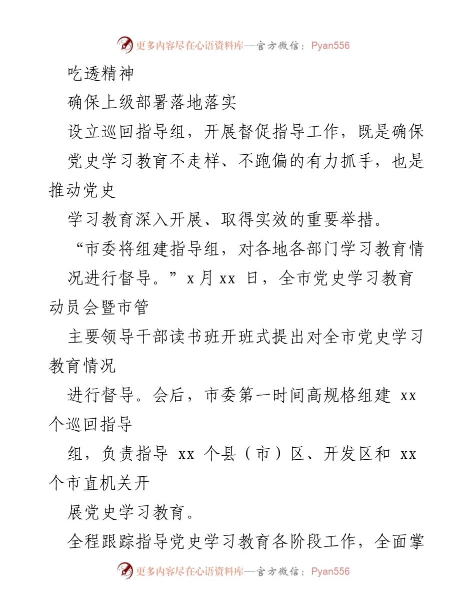 [工作总结] 市委党史学习教育巡回指导 - 督学并进，确保党史学习教育落地生根.docx_第2页