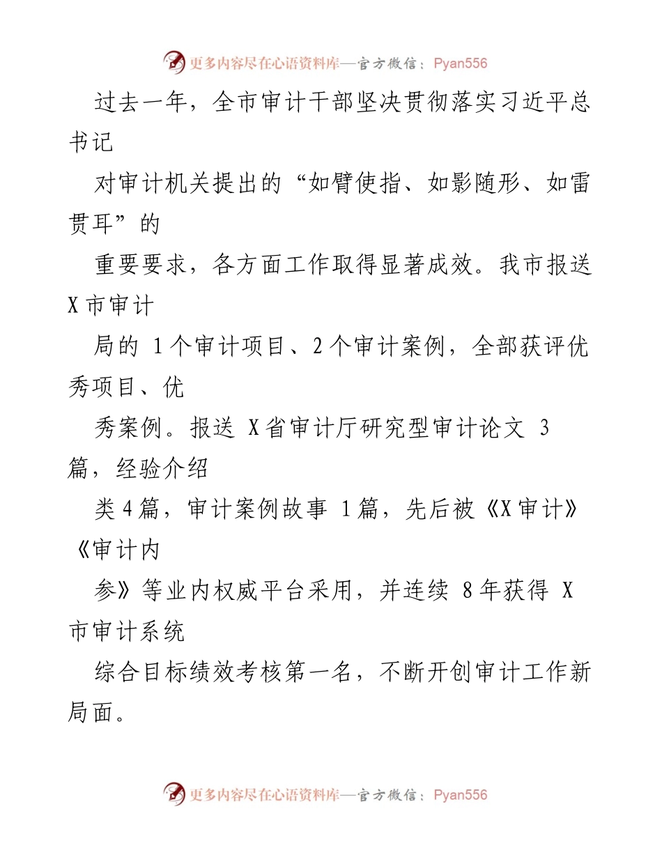 [工作总结] 审计工作 - 2023年度X市审计工作总结与成效分析.docx_第2页