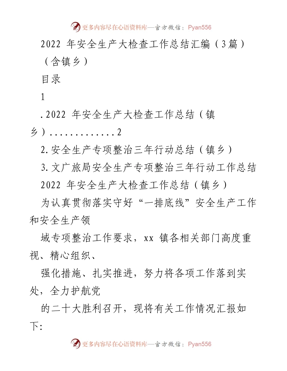 [工作总结] 安全生产大检查 - 2022年镇乡安全生产大检查工作总结报告.docx_第1页