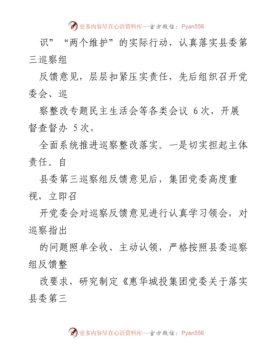 [工作总结] 巡察整改 - XX市投资发展集团巡察整改进展情况通报.docx_第2页