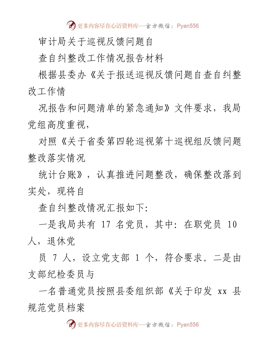 [工作总结] 审计局 - 巡视反馈问题自查自纠整改工作情况报告.docx_第1页