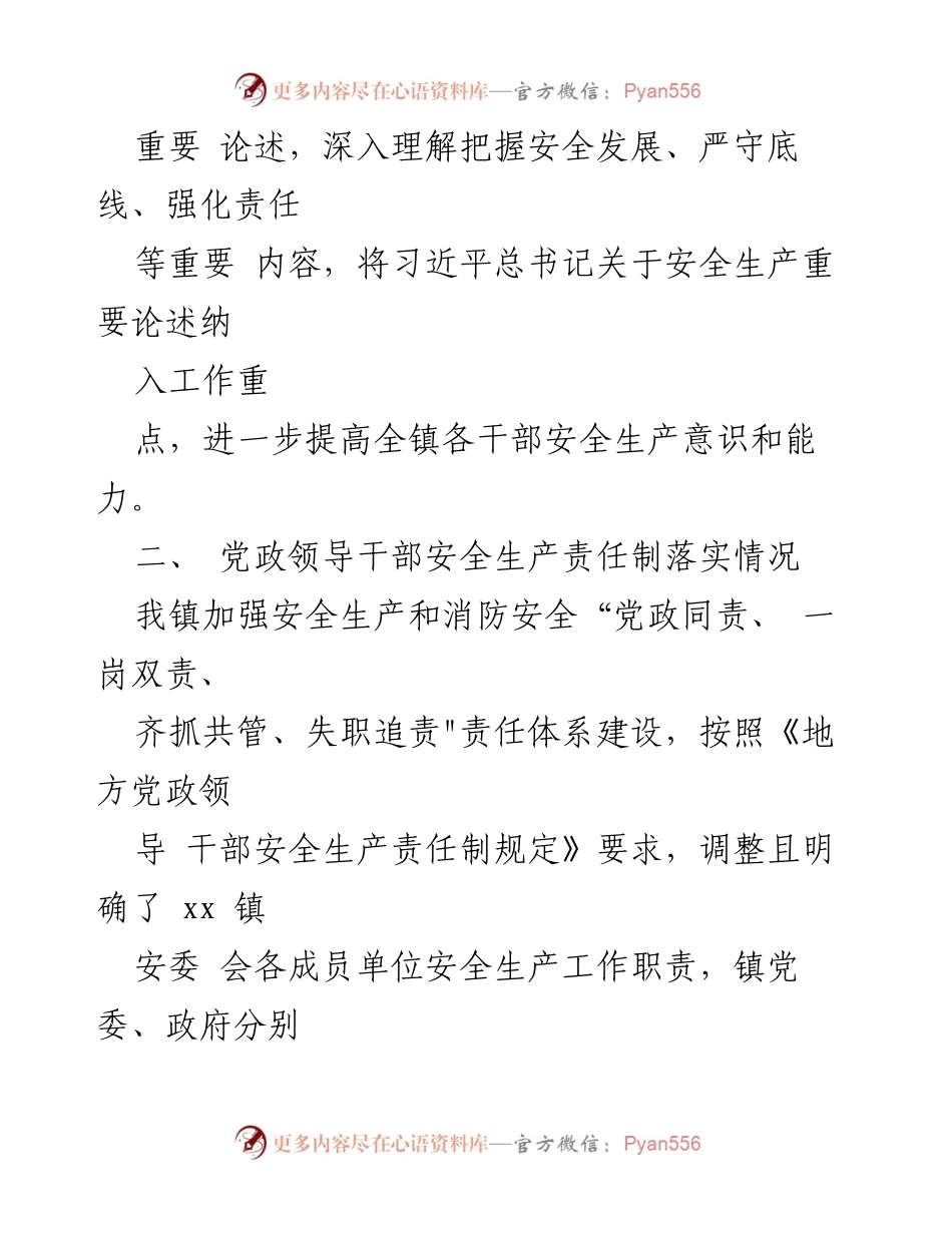 [工作总结] 安全生产风险整治 - 乡镇安全生产风险整治工作总结报告.docx_第2页
