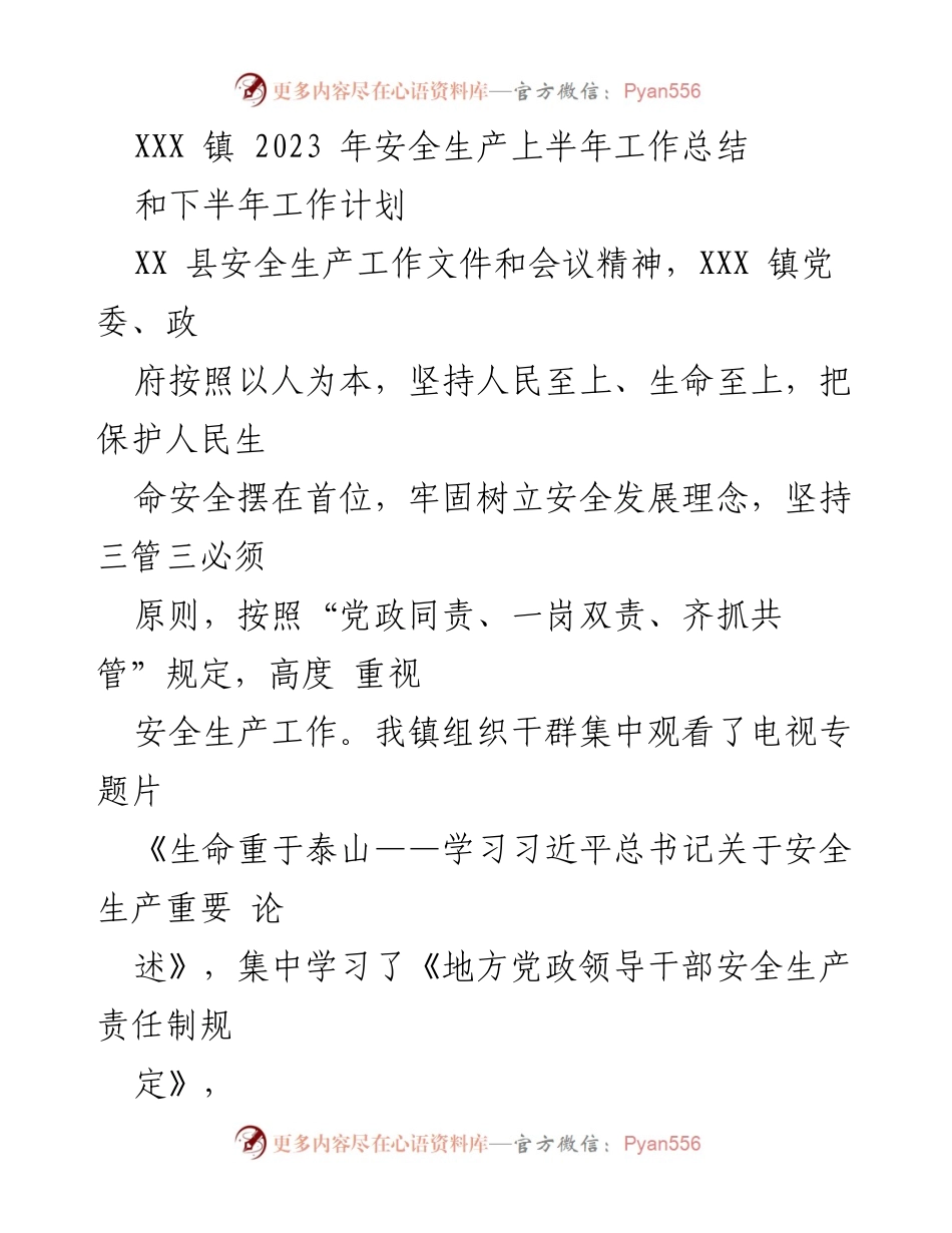 [工作总结] 安全生产工作会议 - XXX 镇 2023 年上半年安全生产工作总结及下半年计划.docx_第1页