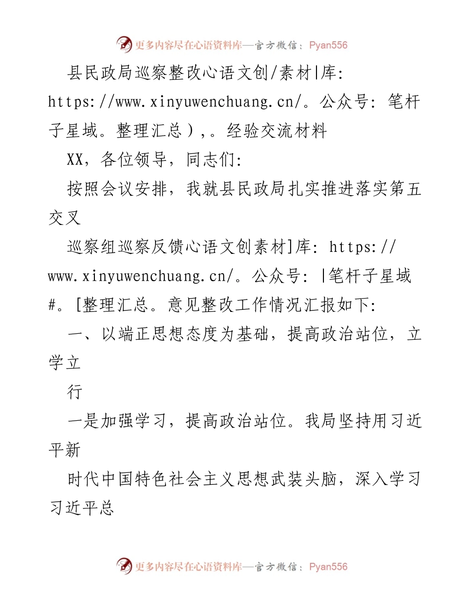 [工作总结] 巡察整改经验交流 - 县民政局巡察整改工作总结与经验分享.docx_第1页