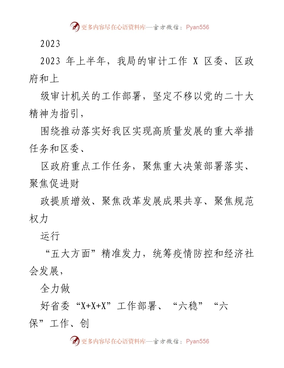 [工作总结] 审计工作 - 2023年上半年审计工作总结与高质量发展推动策略.docx_第1页