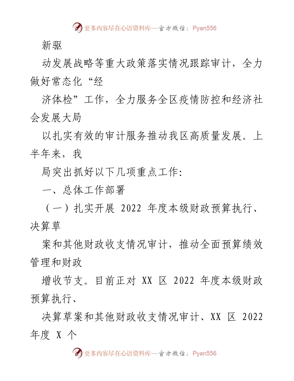 [工作总结] 审计工作 - 2023年上半年审计工作总结与高质量发展推动策略.docx_第2页