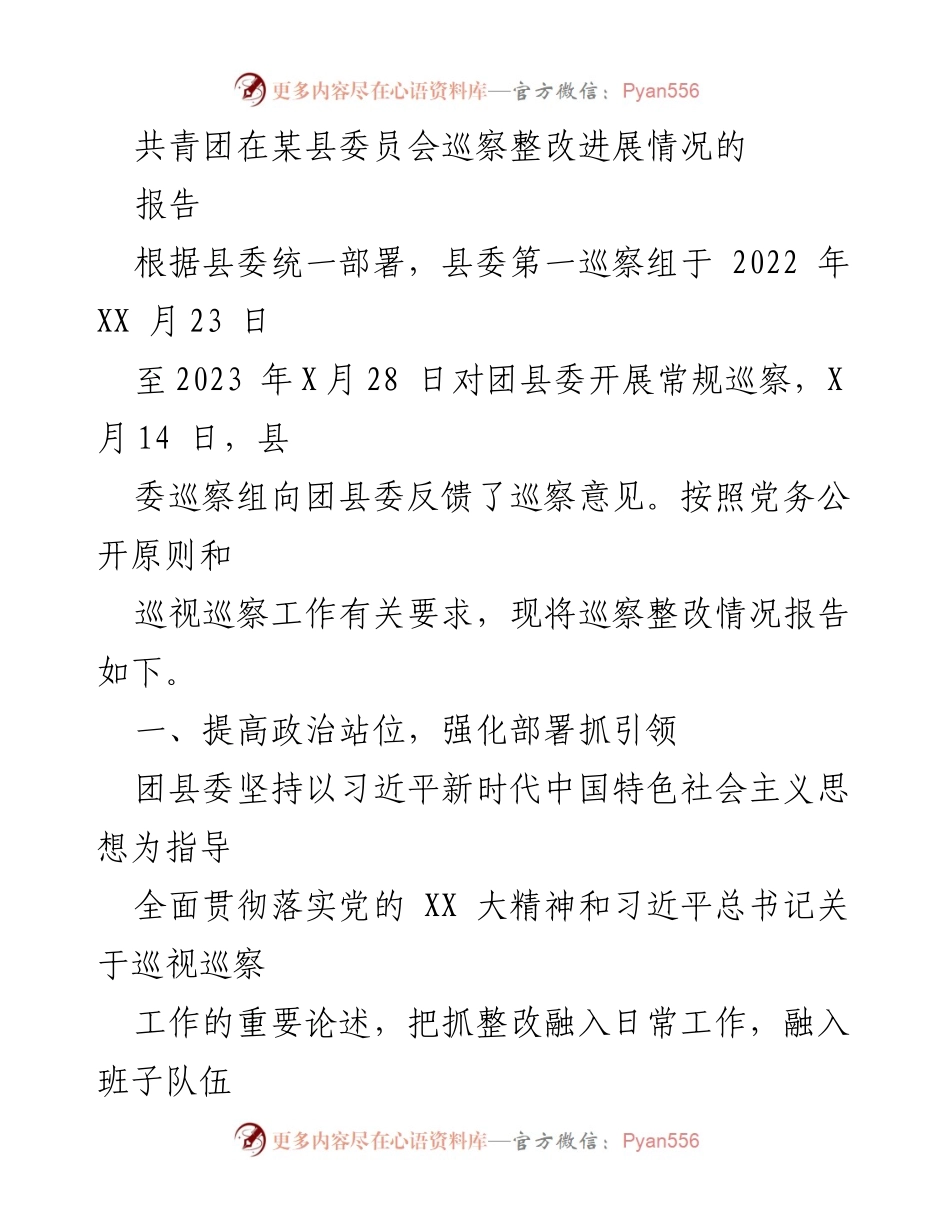 [工作总结] 巡察整改 - 共青团某县委员会巡察整改进展情况报告.docx_第1页