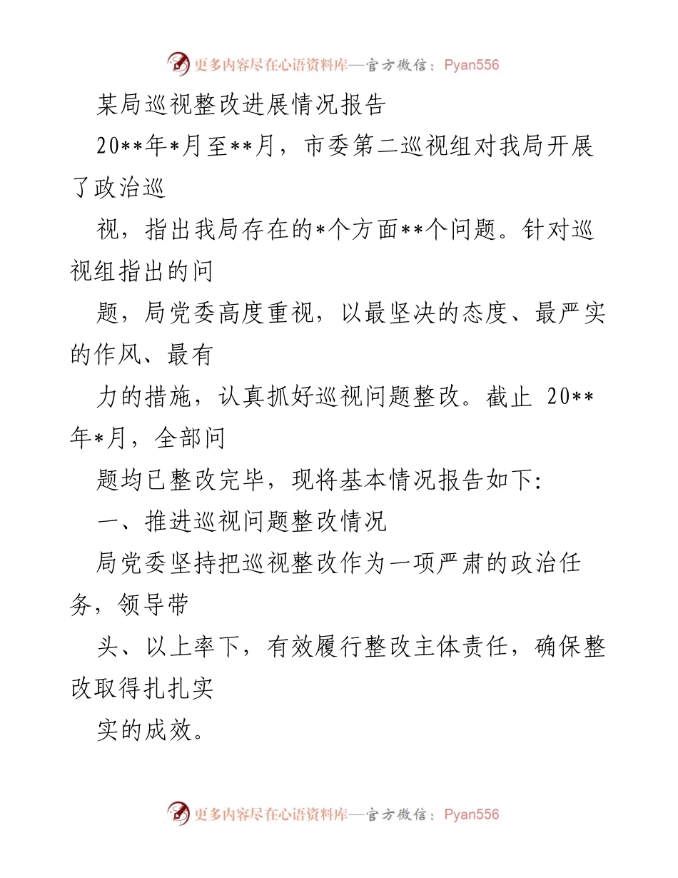 [工作总结] 巡视整改 - 某局巡视整改进展情况报告.docx_第1页