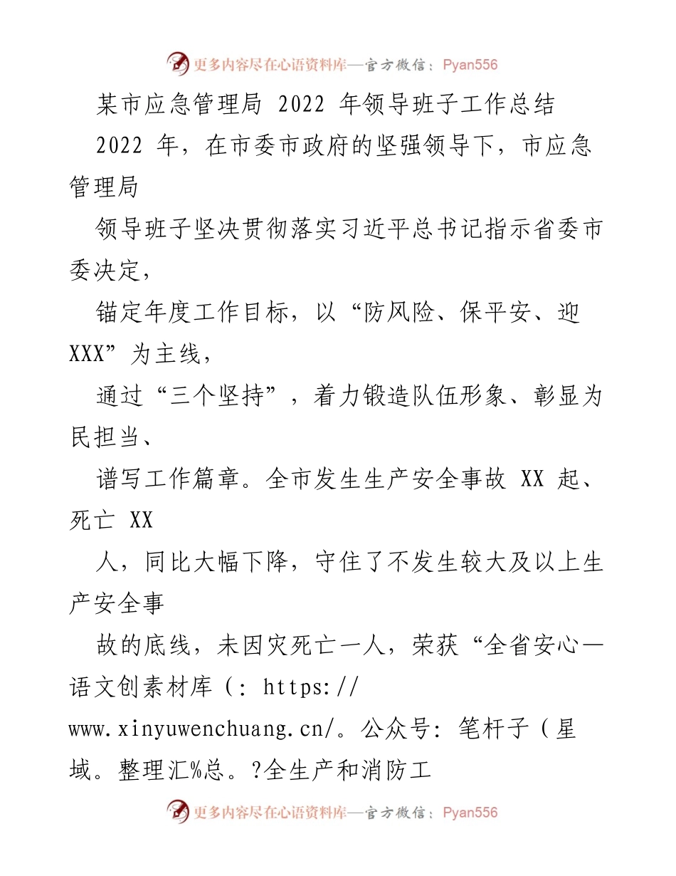 [工作总结] 市应急管理局 - 2022年市应急管理局领导班子工作总结与成就.docx_第1页