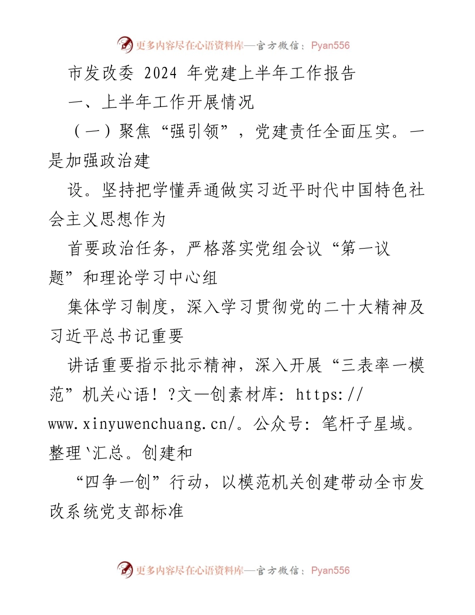 [工作总结] 市发改委 - 2024年上半年党建工作总结报告.docx_第1页