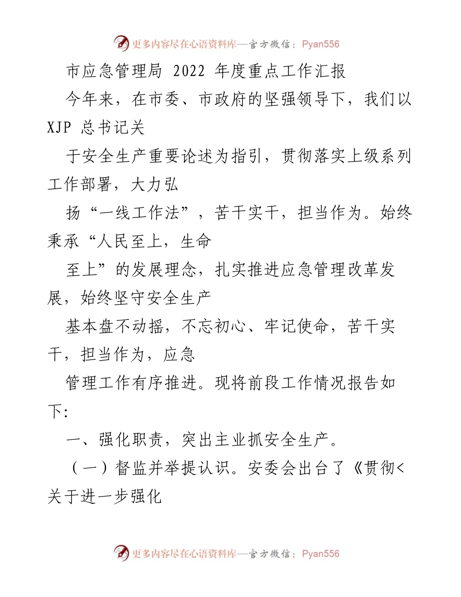 [工作总结] 市应急管理局 - 2022年度应急管理工作汇报.docx_第1页