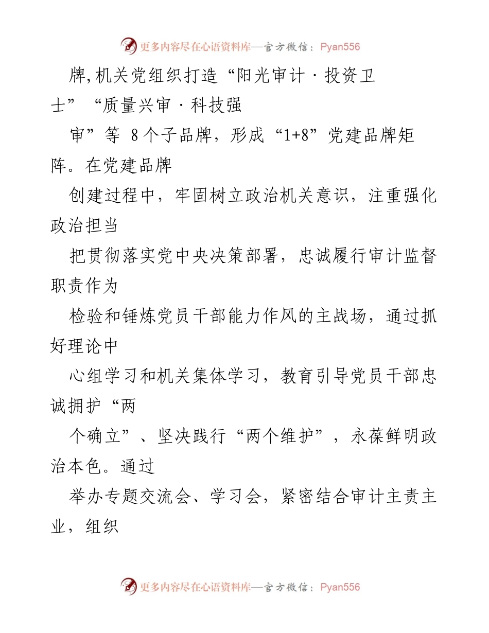 [工作总结] 审计局党建工作 - 某市审计局特色党建品牌创建经验总结.docx_第2页