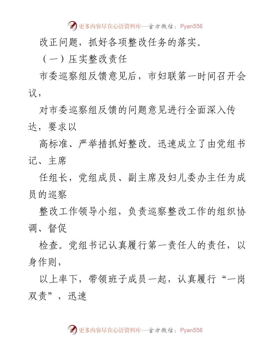 [工作总结] 巡察整改 - 市妇联巡察整改情况报告.docx_第2页