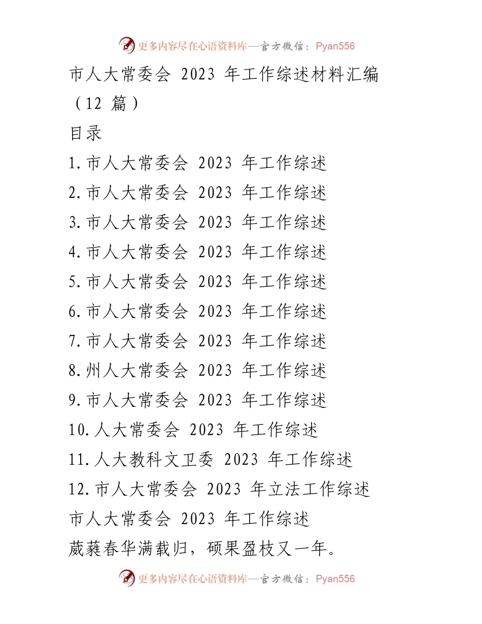 [工作总结] 市人大常委会 - 2023 年市人大常委会工作综述与成就报告.docx_第1页