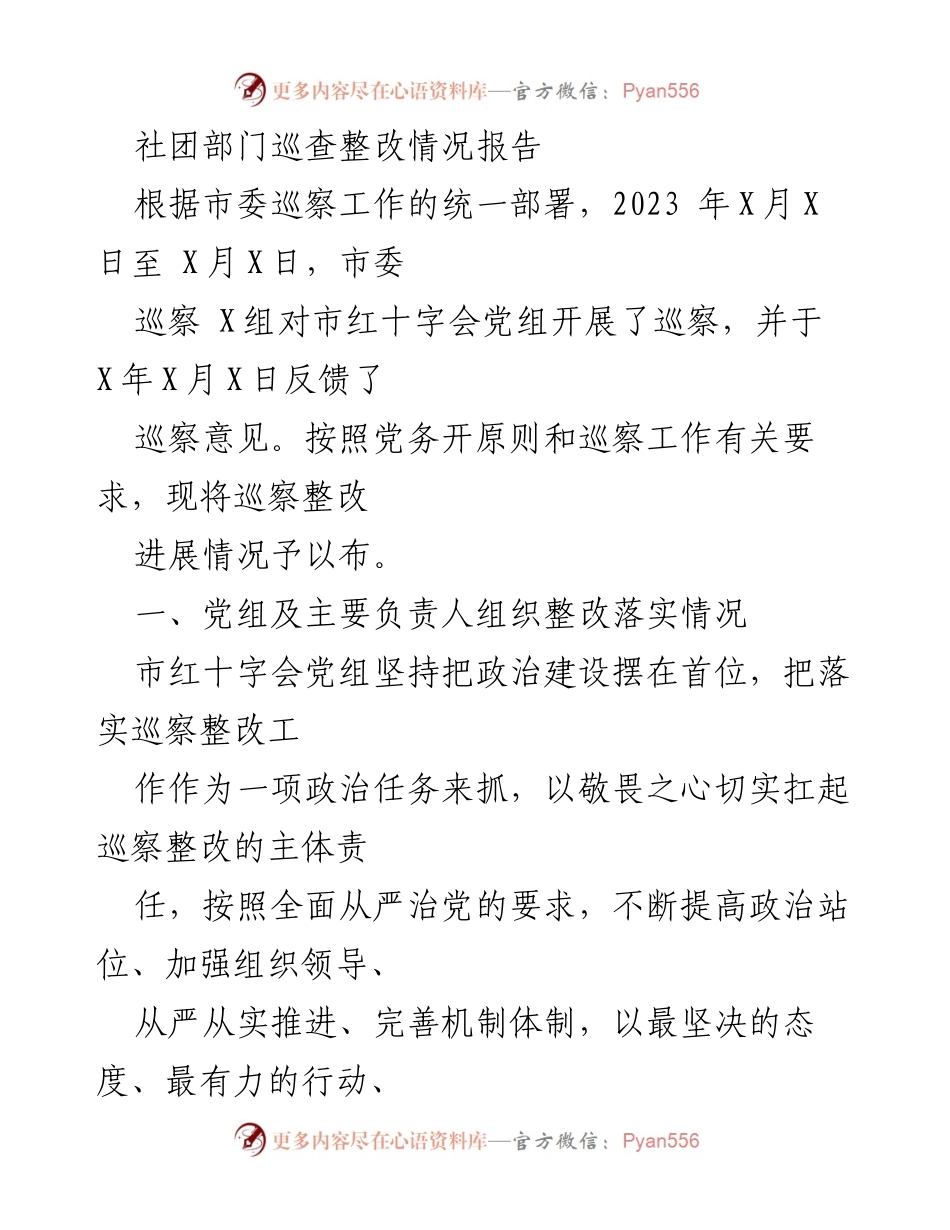 [工作总结] 巡察整改 - 市红十字会巡察整改情况报告.docx_第1页