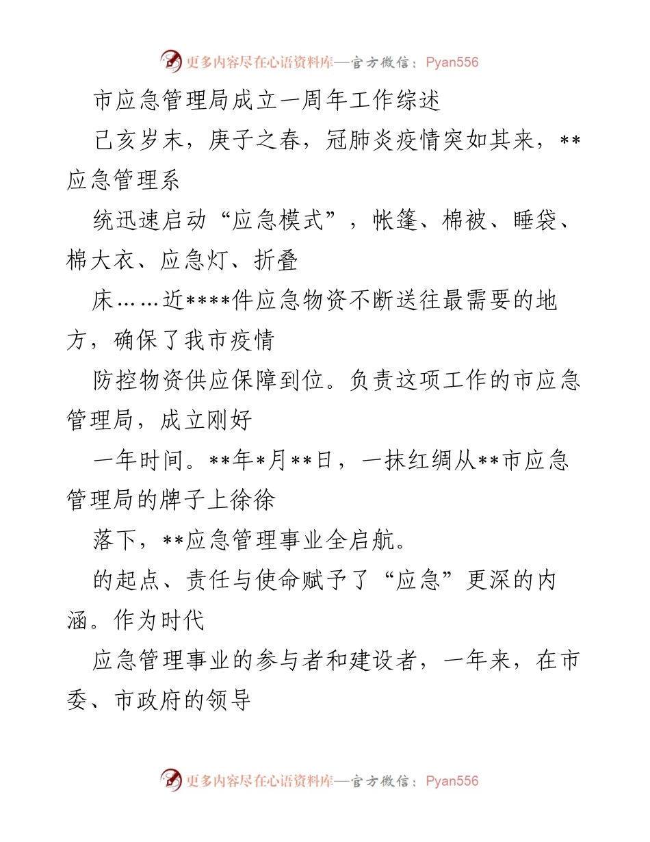 [工作总结] 市应急管理局成立一周年 - 市应急管理局一周年工作综述及疫情应对成效.docx_第1页