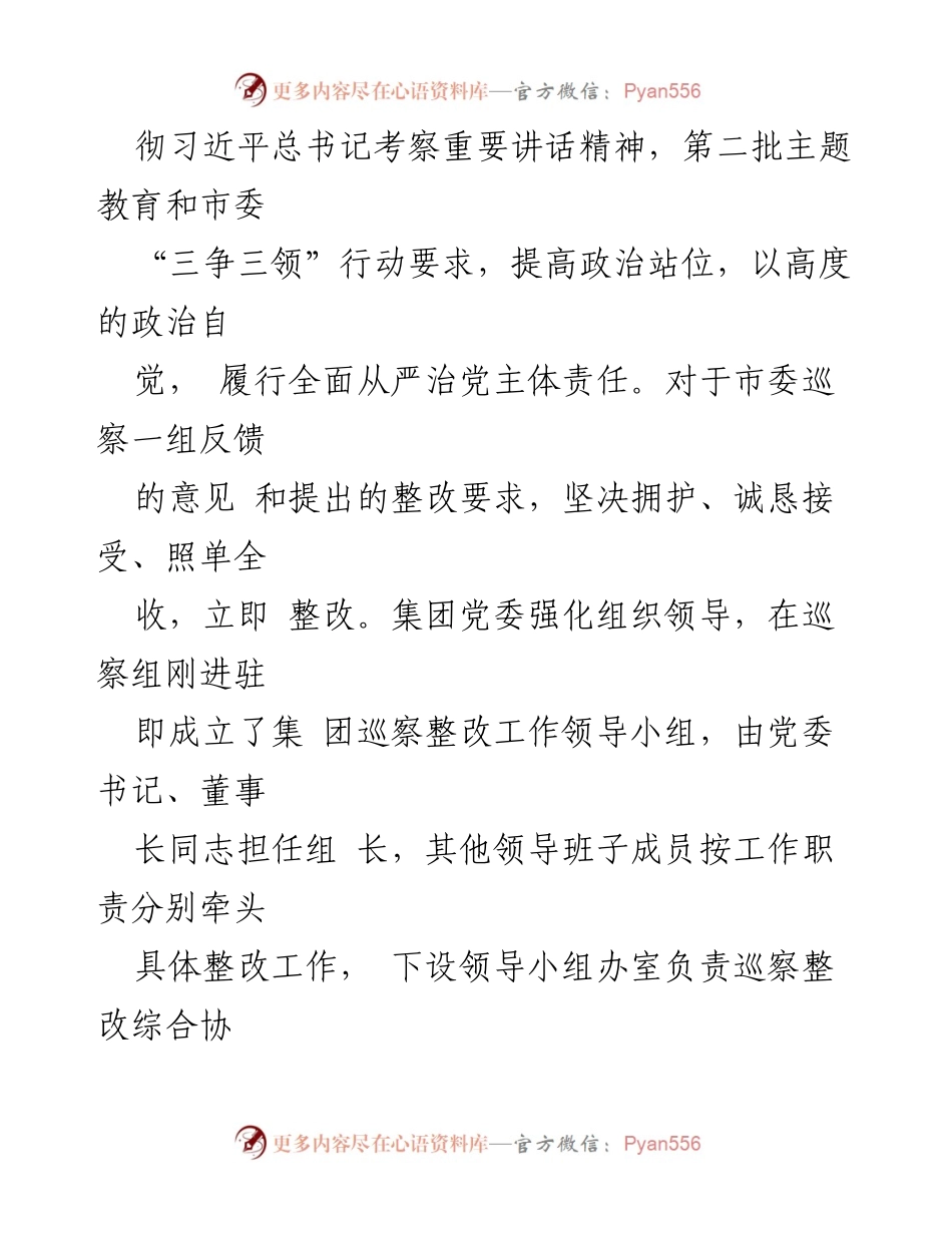 [工作总结] 巡察整改 - 2024 年市人才发展集团巡察整改工作总结报告.docx_第2页