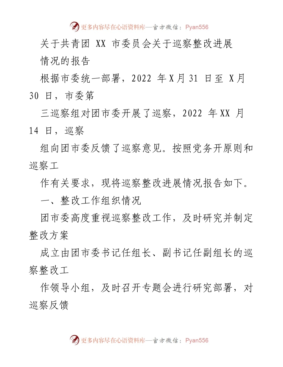 [工作总结] 巡察整改 - 共青团 XX 市委员会巡察整改进展情况报告.docx_第1页