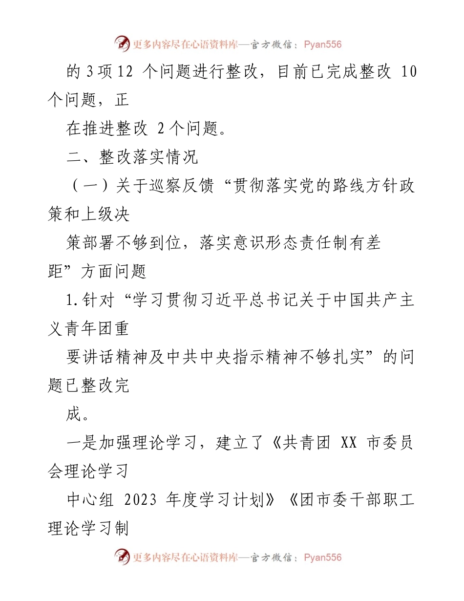 [工作总结] 巡察整改 - 共青团 XX 市委员会巡察整改进展情况报告.docx_第2页