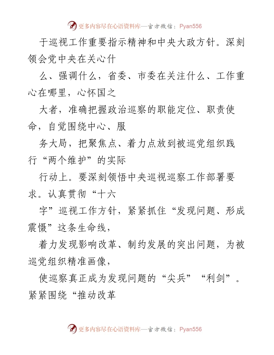 [工作总结] 巡察工作 - 深化市县巡察高质量发展的实践体会.docx_第2页