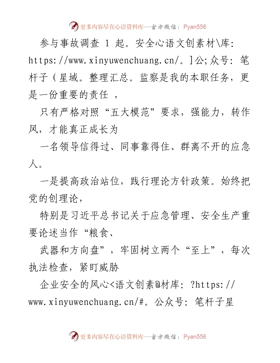 [工作总结] 安全监察工作 - 青年干部在安全监察岗位上的成长与实践.docx_第2页