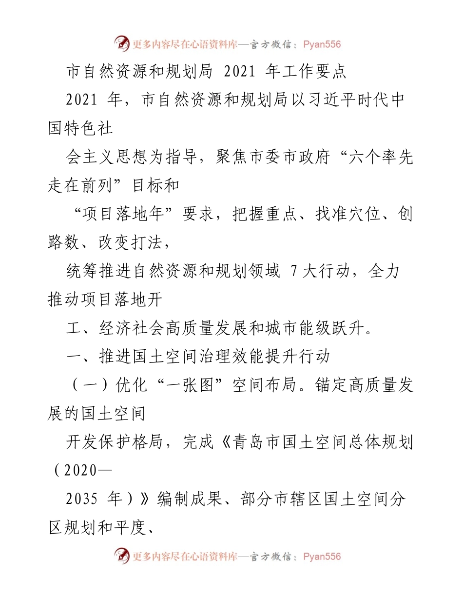[工作总结] 市自然资源和规划局 - 2021年工作要点与行动计划.docx_第1页