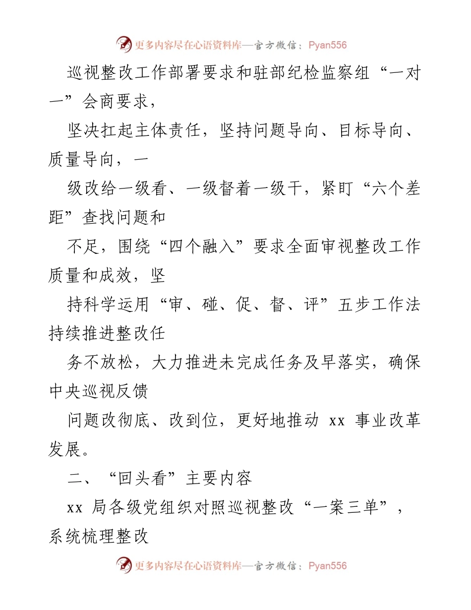 [工作总结] 巡视整改 - 巡视反馈意见整改落实工作“回头看”实施方案.docx_第2页