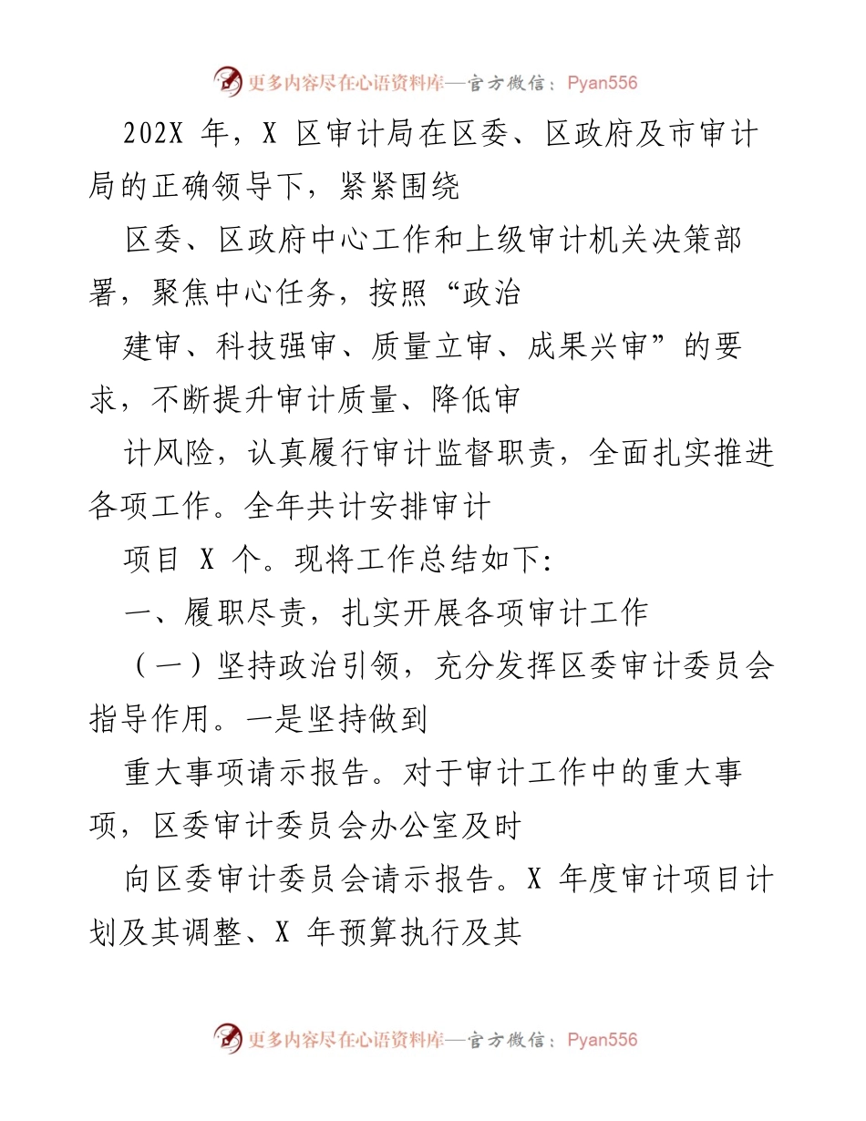 [工作总结] 审计局年终总结 - 202X年度审计工作总结与成果分析.docx_第1页