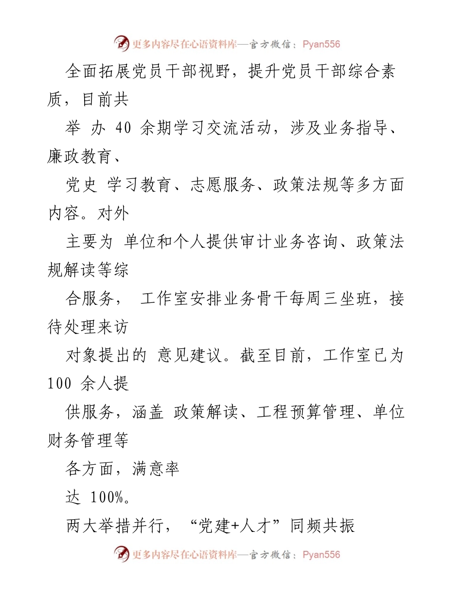 [工作总结] 审计局党建品牌质量提升行动 - 审计局党建品牌质量提升行动工作总结.docx_第2页