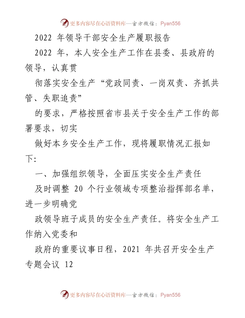 [工作总结] 安全生产 - 2022年领导干部安全生产履职情况总结报告.docx_第1页