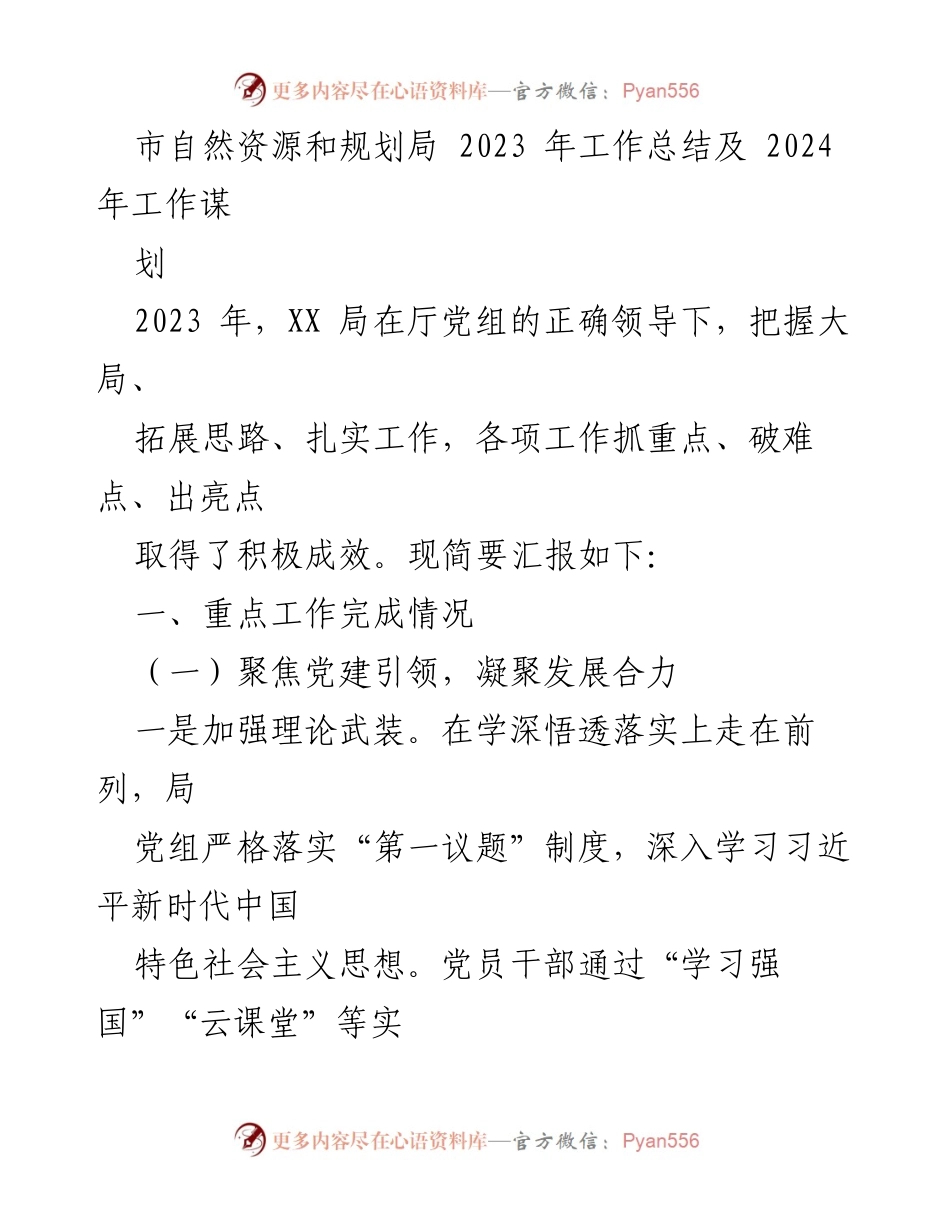 [工作总结] 年度总结 - 2023年市自然资源和规划局工作总结与2024年规划.docx_第1页