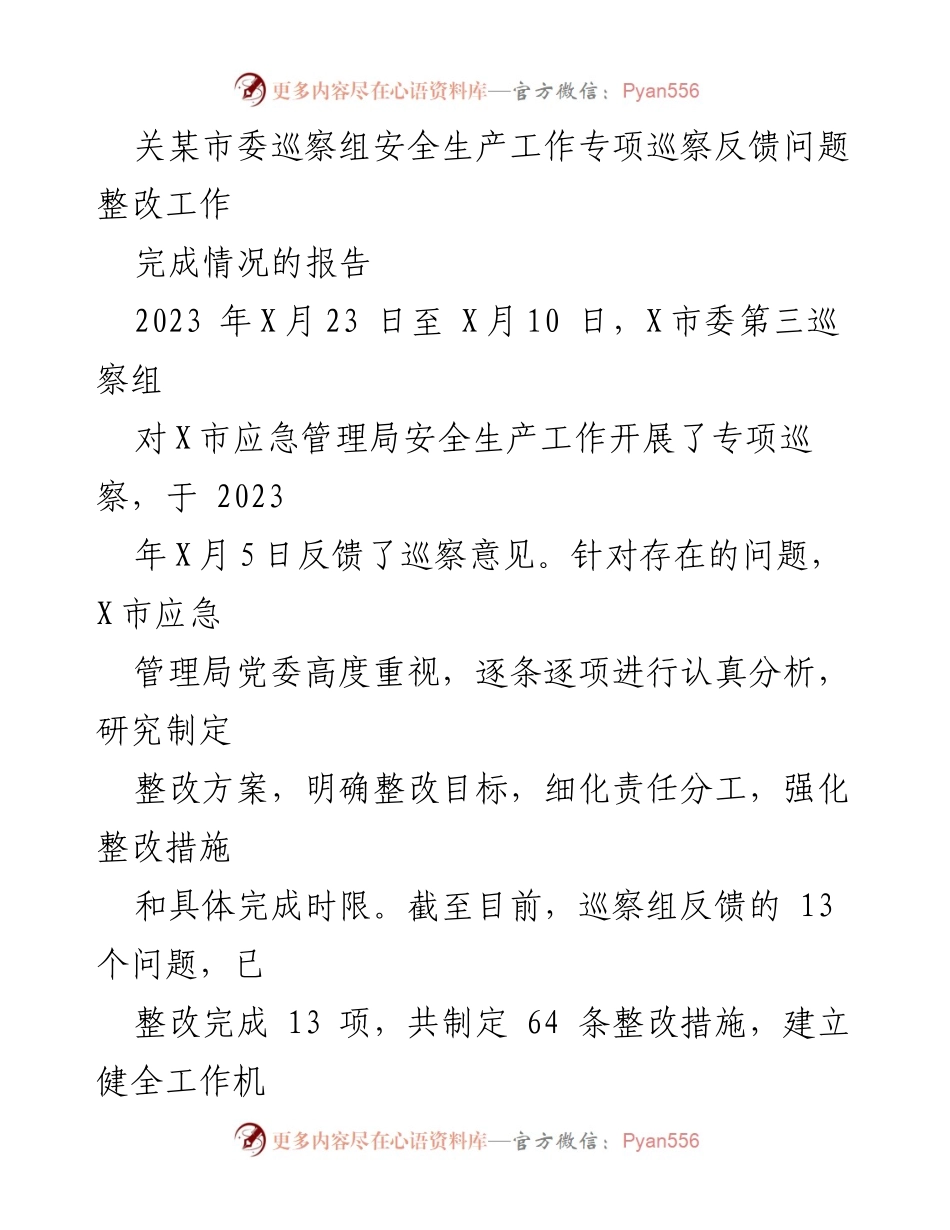 [工作总结] 巡察整改 - X市应急管理局安全生产工作专项巡察整改进展报告.docx_第1页