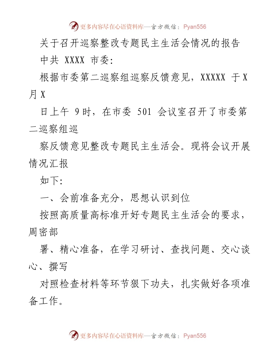 [工作总结] 巡察整改 - 巡察整改专题民主生活会情况报告.docx_第1页