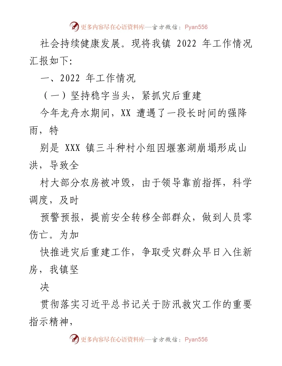 [工作总结] 年度工作汇报 - 2022年XXX镇工作总结与发展回顾.docx_第2页